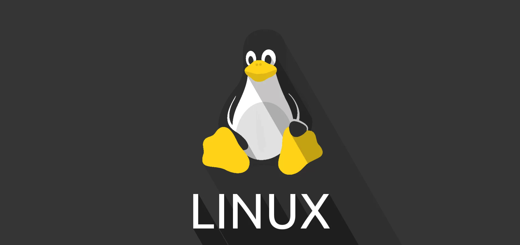 linux扩容情况分析
